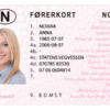 Kolekcjonerskie prawo jazdy z Norwegii przeniesie Cię w krainę polarnych zorzy i fiordów.