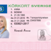 Kolekcjonerskie prawo jazdy ze Szwecji sprawi, ?e potop szwedzki nabierze nowego znaczenia.