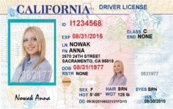 Kolekcjonerskie prawo jazdy z Kalifornii jest wspaniałą pamiątką dla wszystkich osób, które marzą by spełnić swój american dream.