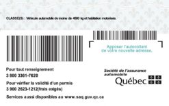 Kolekcjonerskie prawo jazdy z Kanady to wyjątkowy prezent, który sprawi, że będziesz jak hokeista grający na lodzie z syropu klonowego.